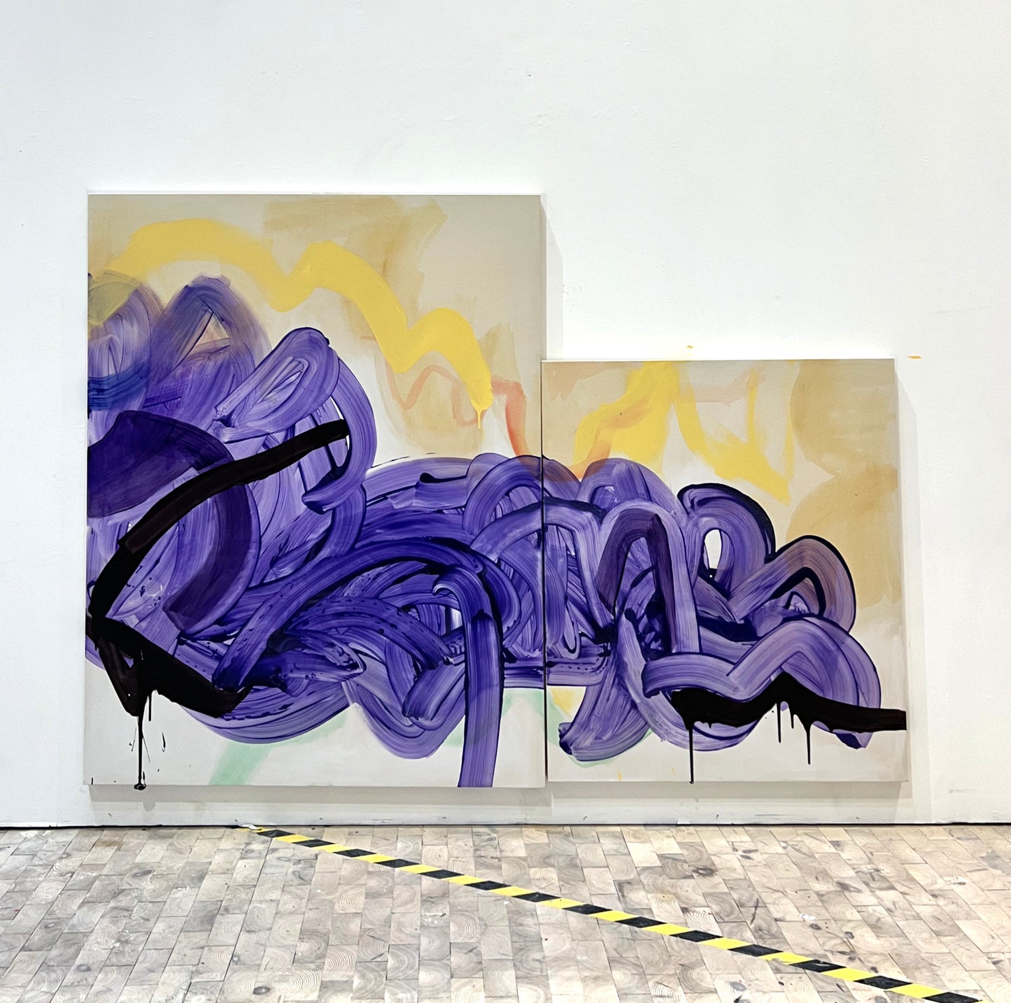 FLUX+RUN (Combined Series)