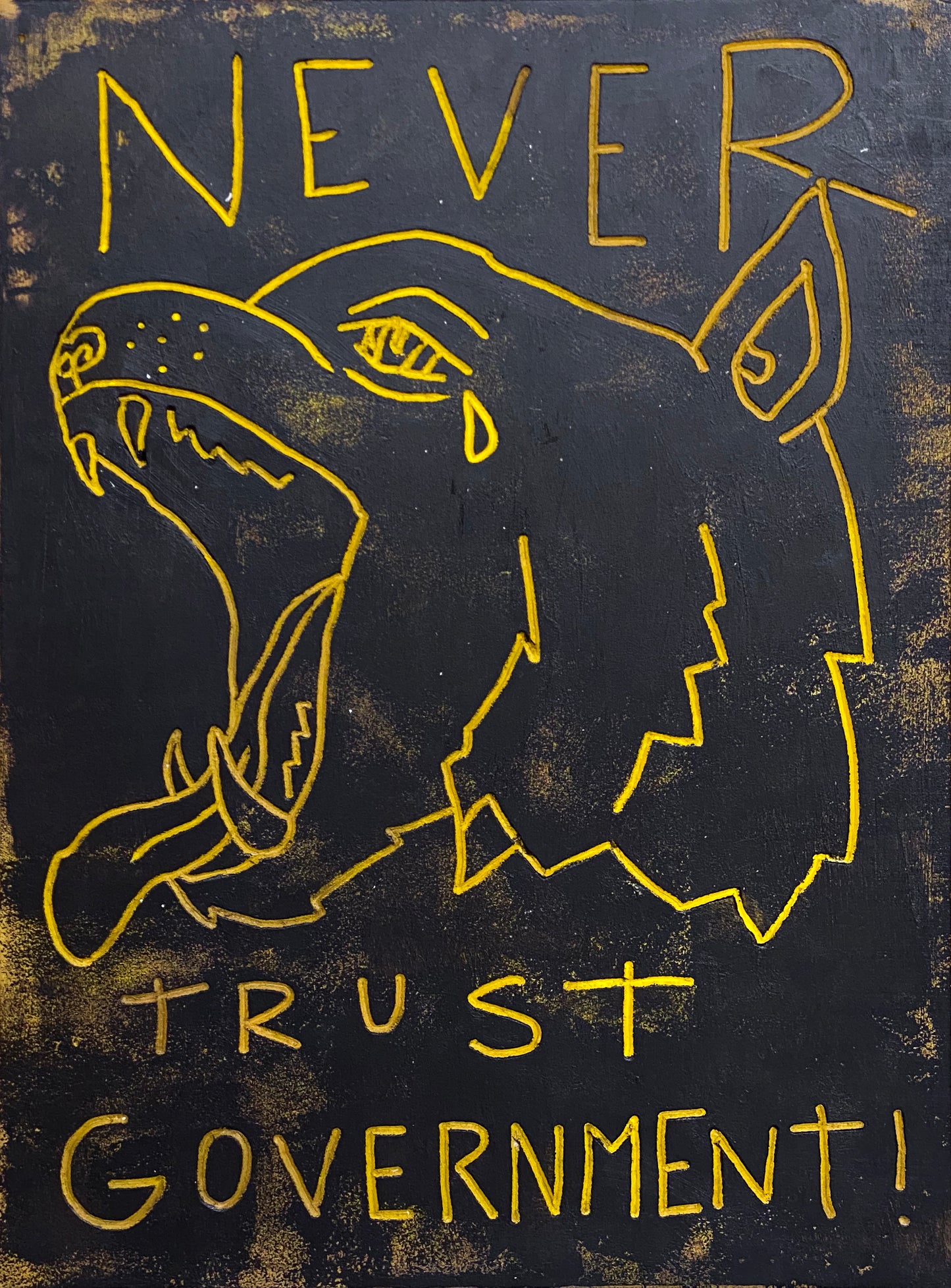 Never Trust Government