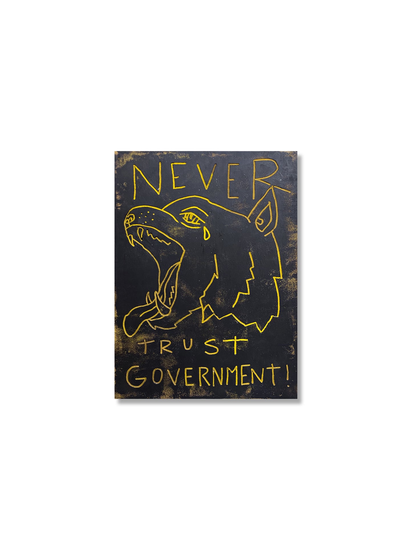 Never Trust Government