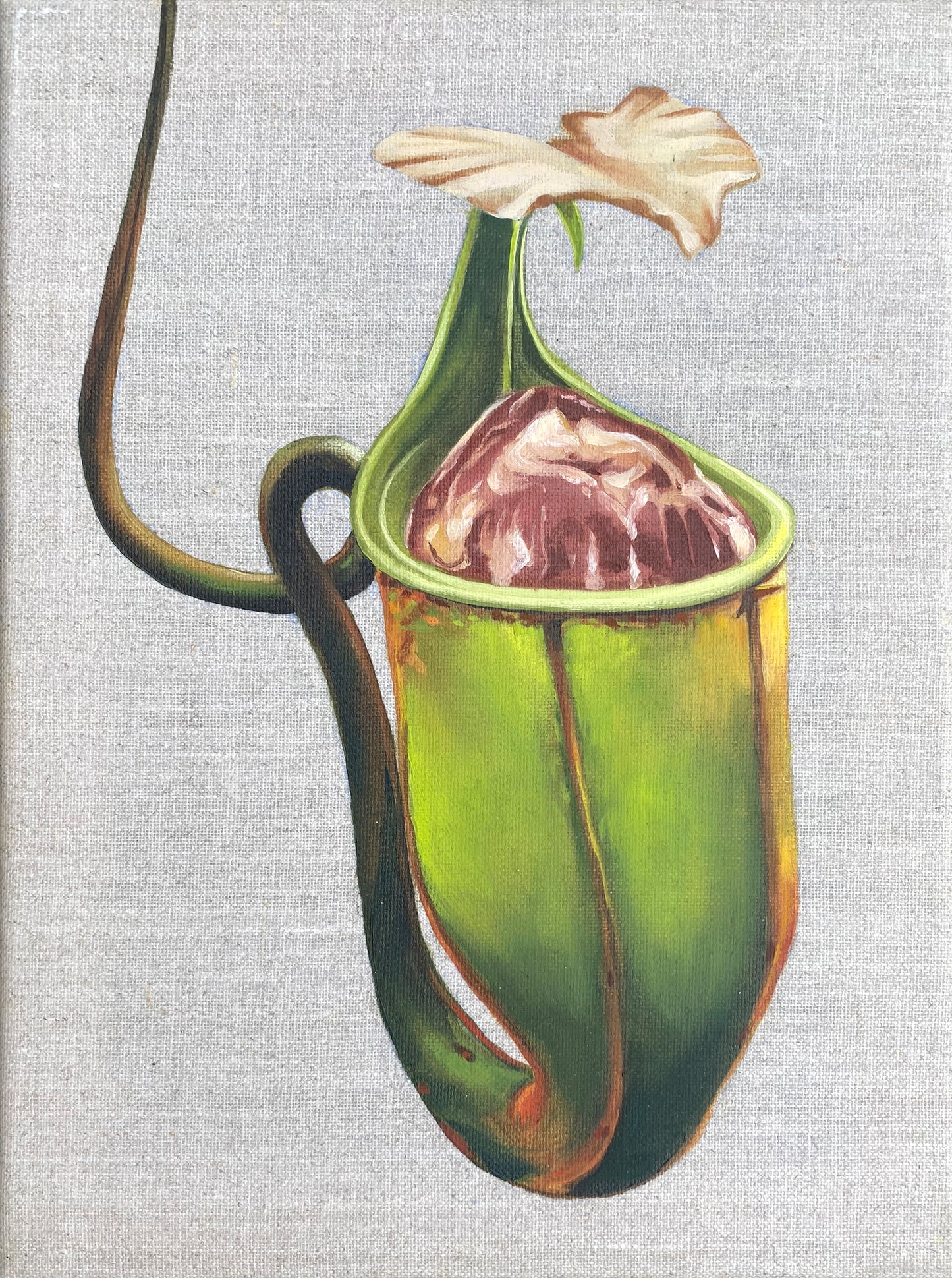 Kjøttetende plante I