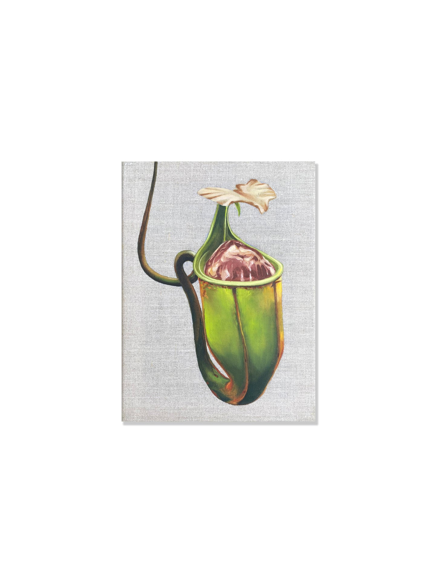 Kjøttetende plante I